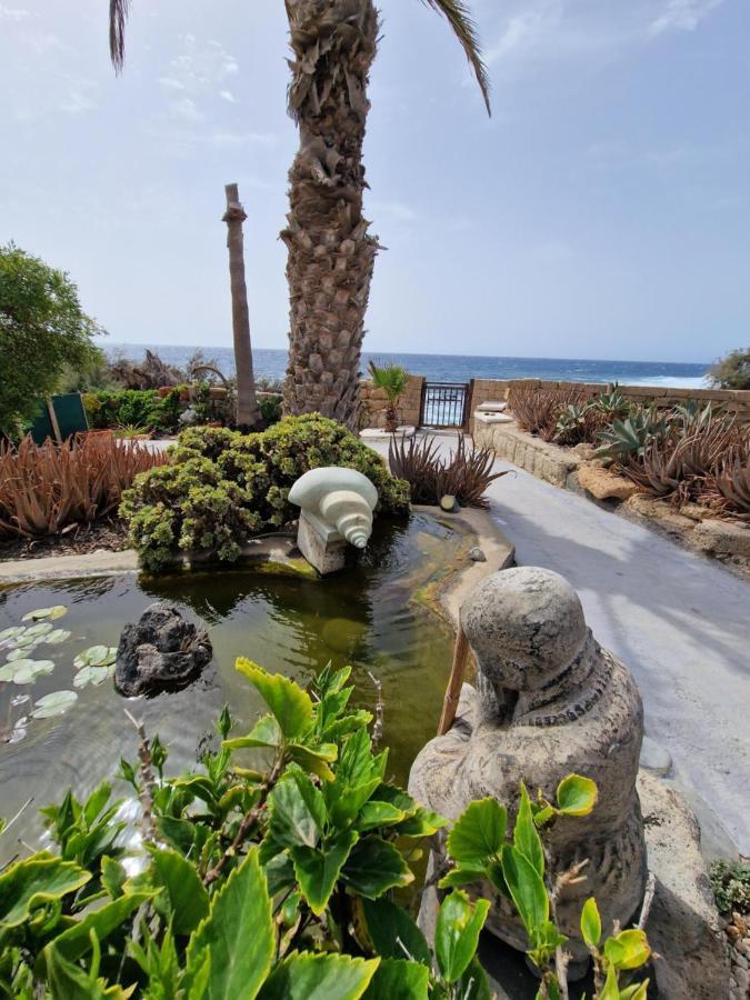 Little Paradise In El Medano Granadilla De Abona Exterior photo