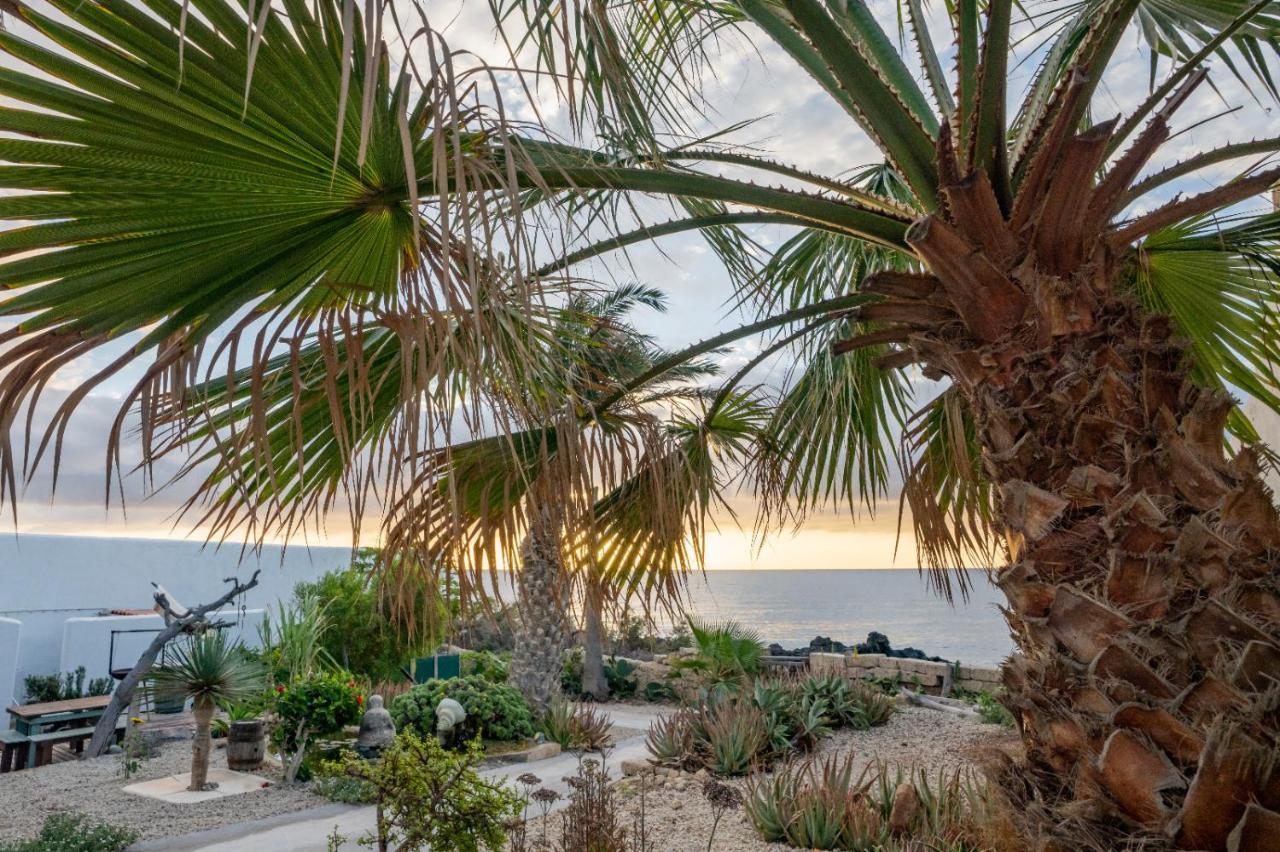 Little Paradise In El Medano Granadilla De Abona Exterior photo