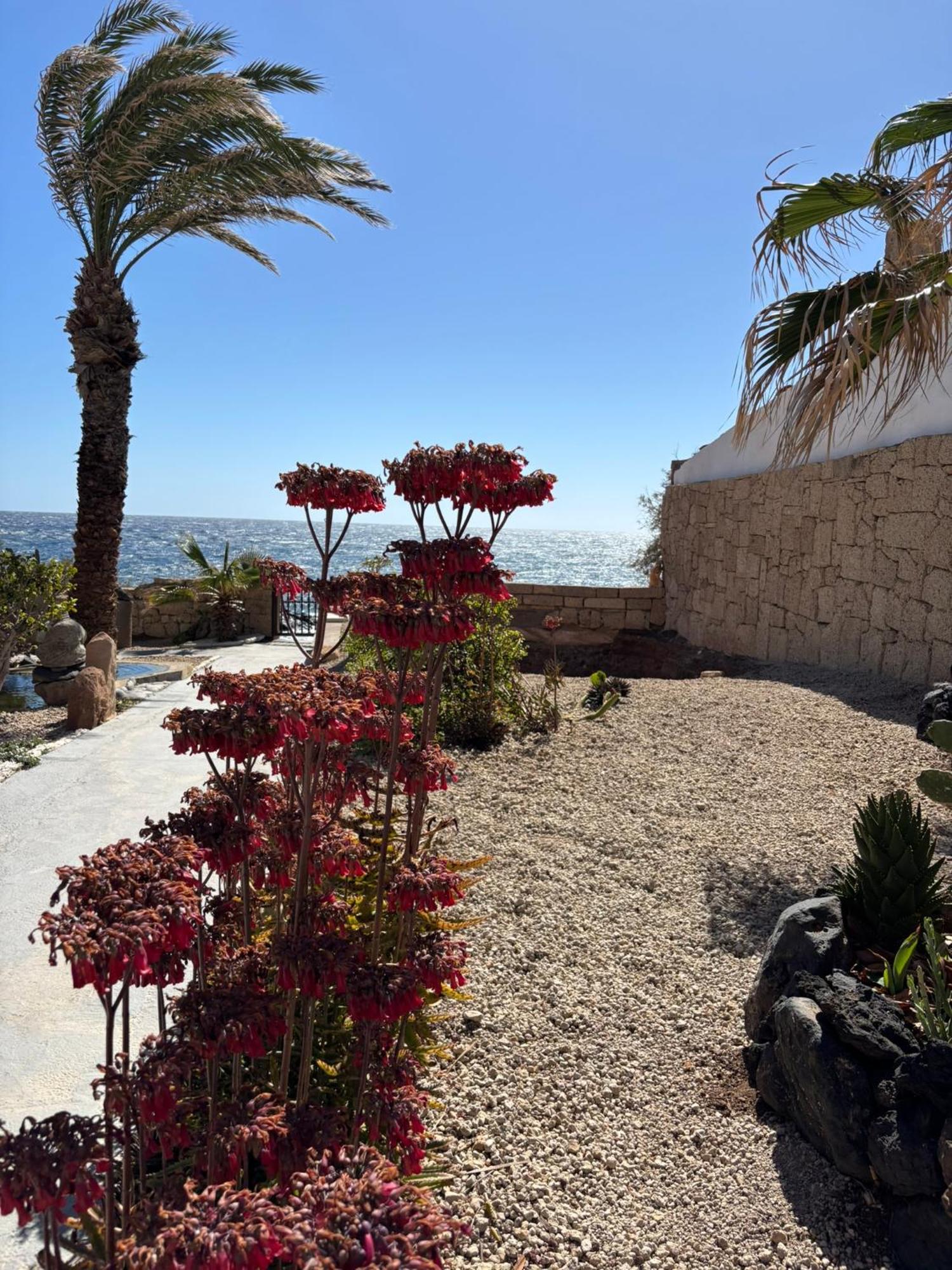 Little Paradise In El Medano Granadilla De Abona Exterior photo